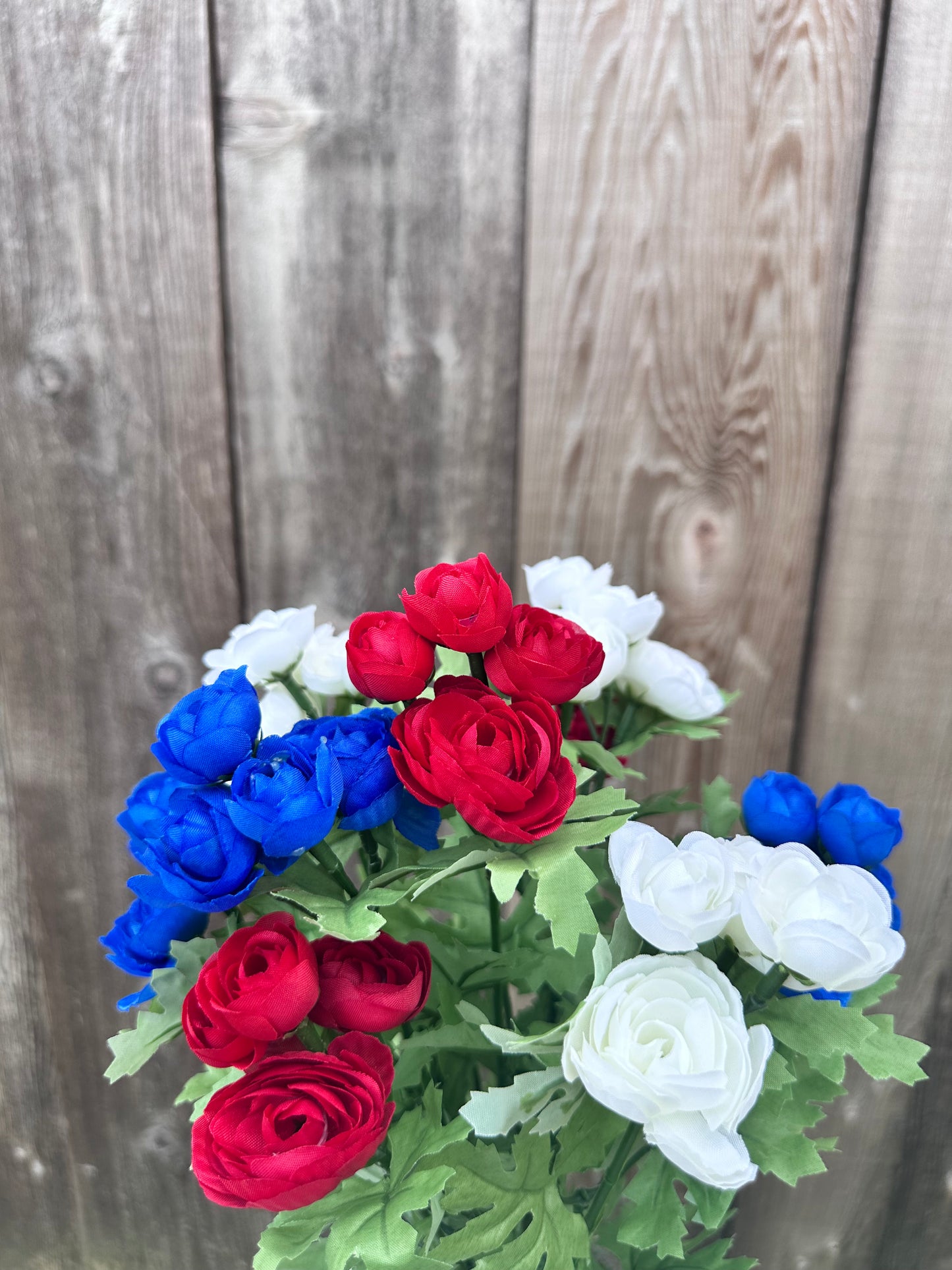 MINI RANUNCULUS BUSH   84055-RDWTBL