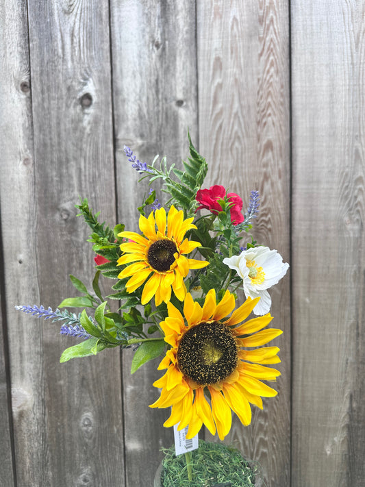 MIXED SUNFLOWER BUSH   64782