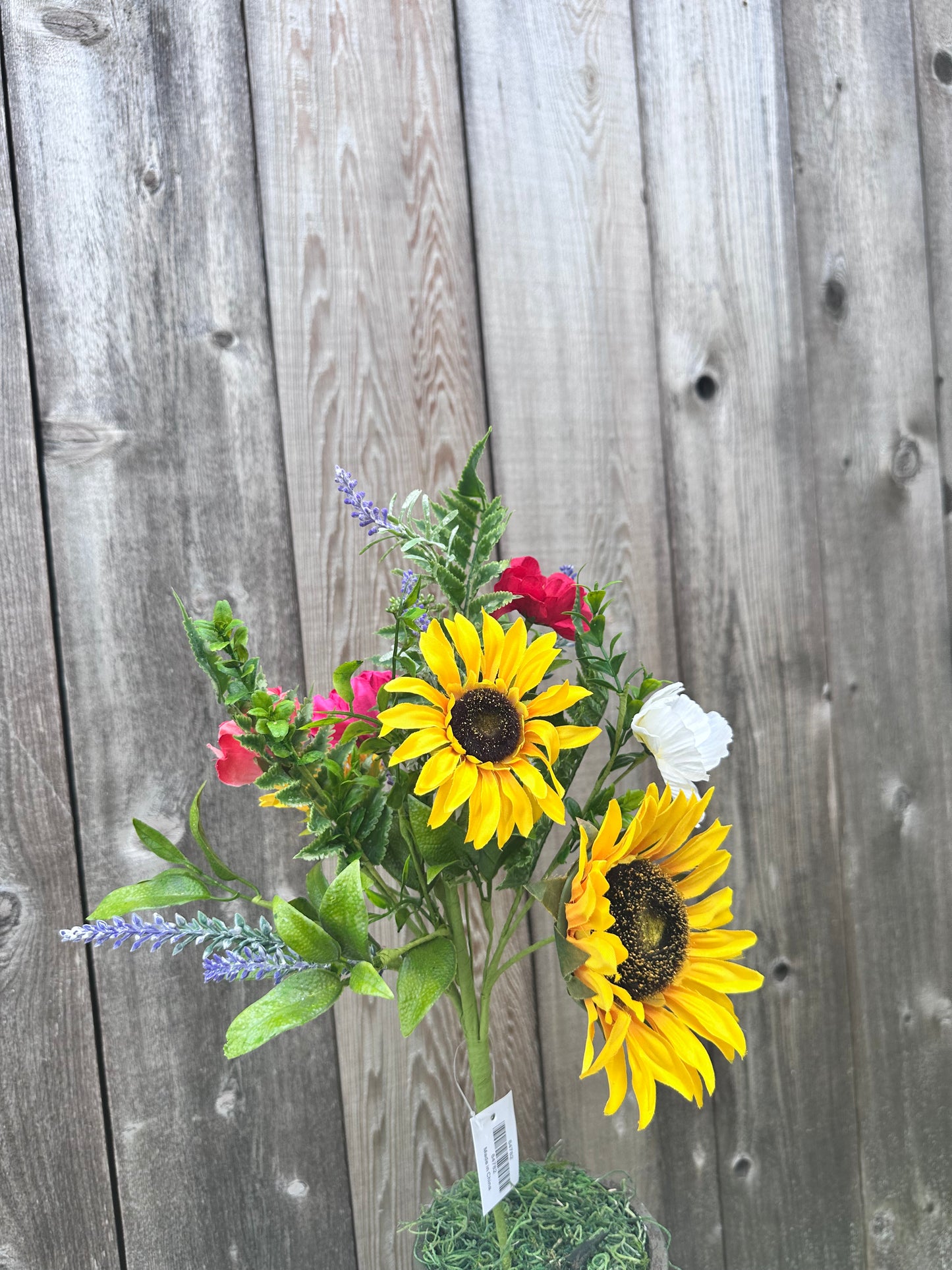 MIXED SUNFLOWER BUSH   64782