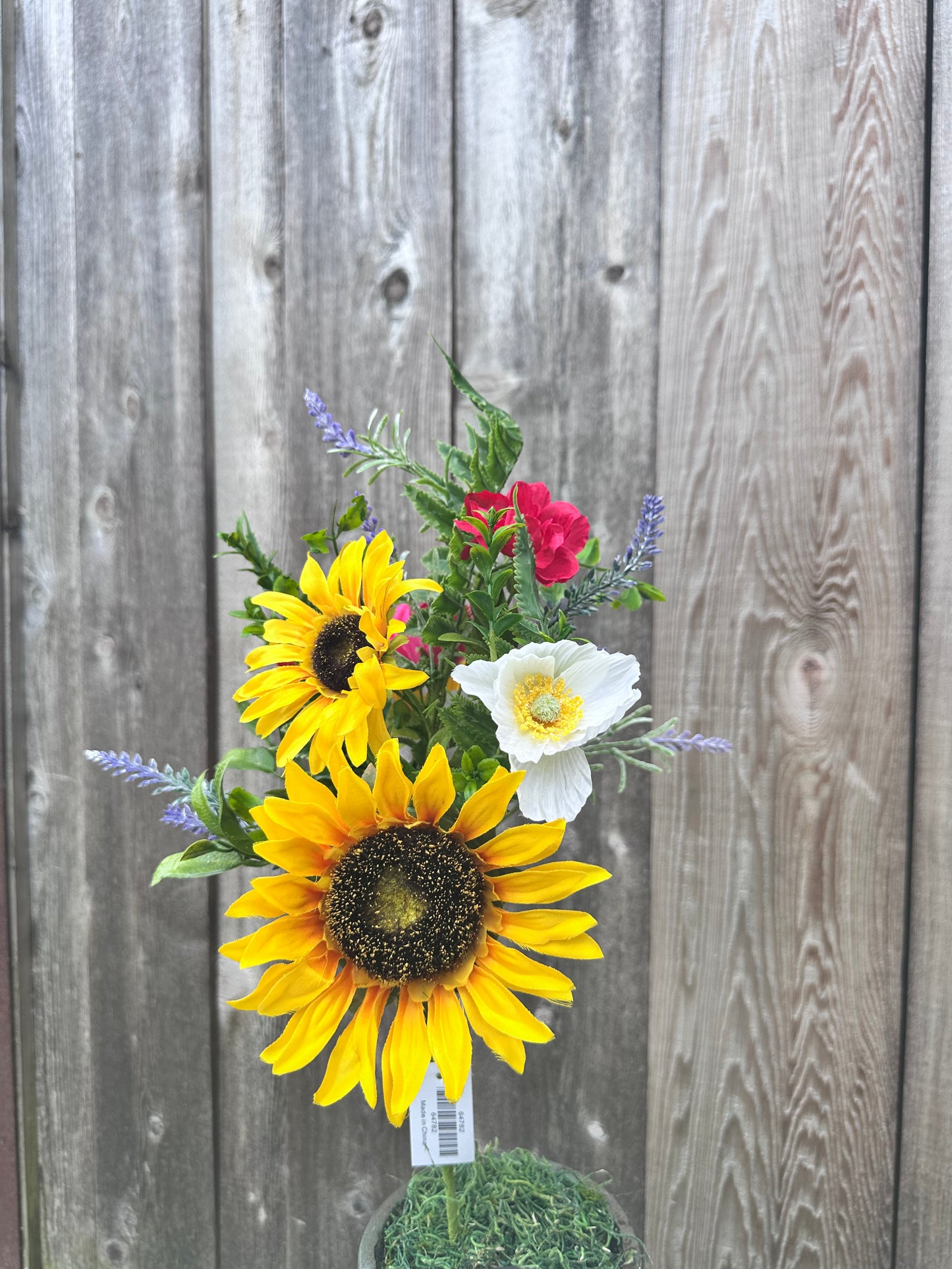 MIXED SUNFLOWER BUSH   64782