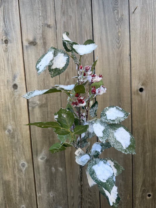 31" WINTRY SALUTATIONS SPRAY   XDC1005