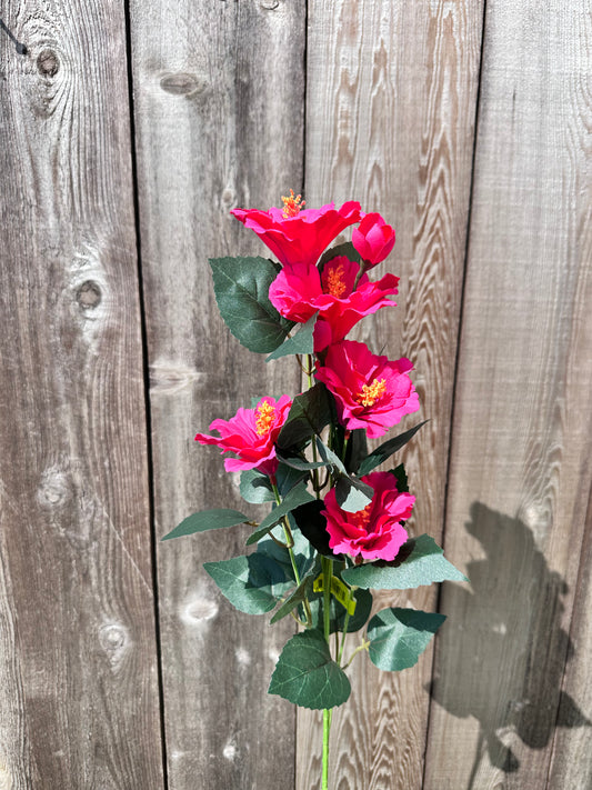 Hibiscus Spray     63339BT