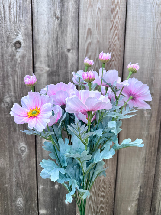 COSMOS BUSH  84299-PK