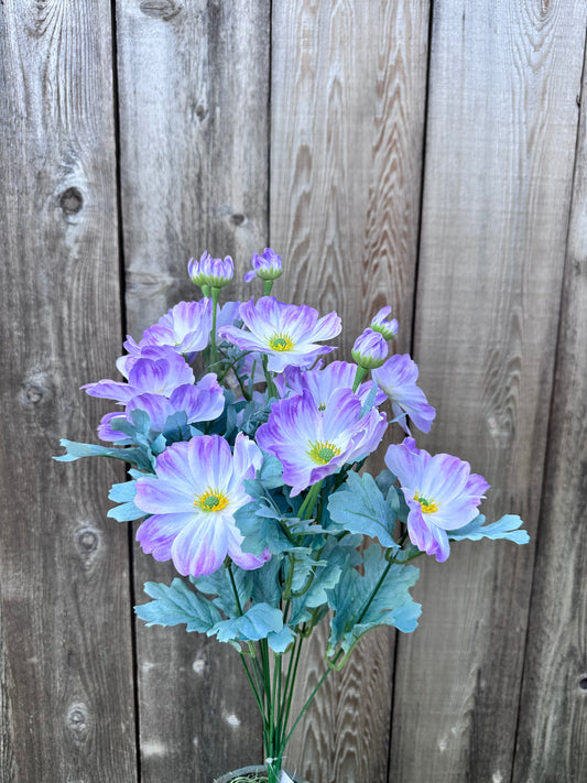 COSMOS BUSH  84299-LV