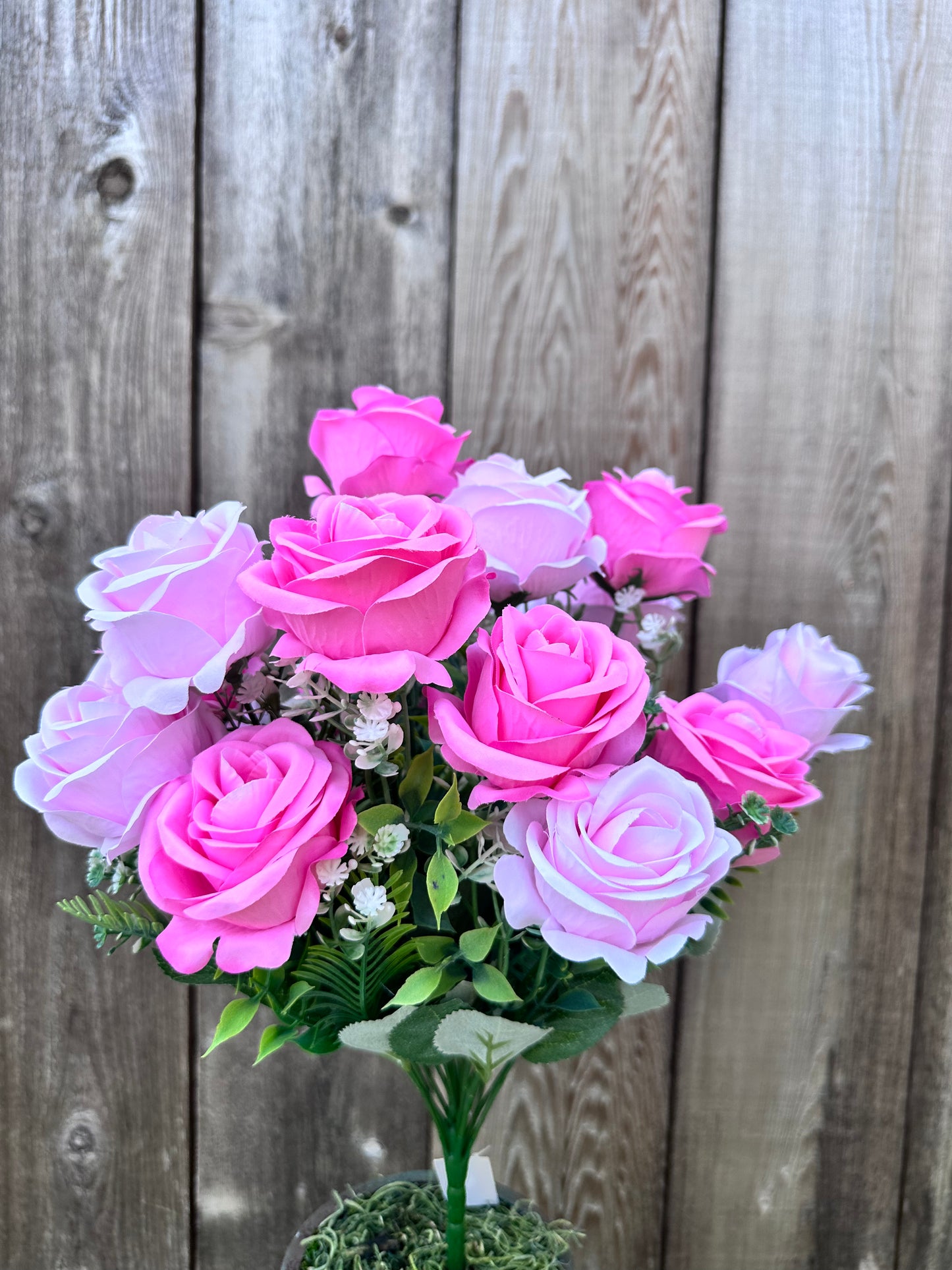 ROSE BUSH    84297-PK