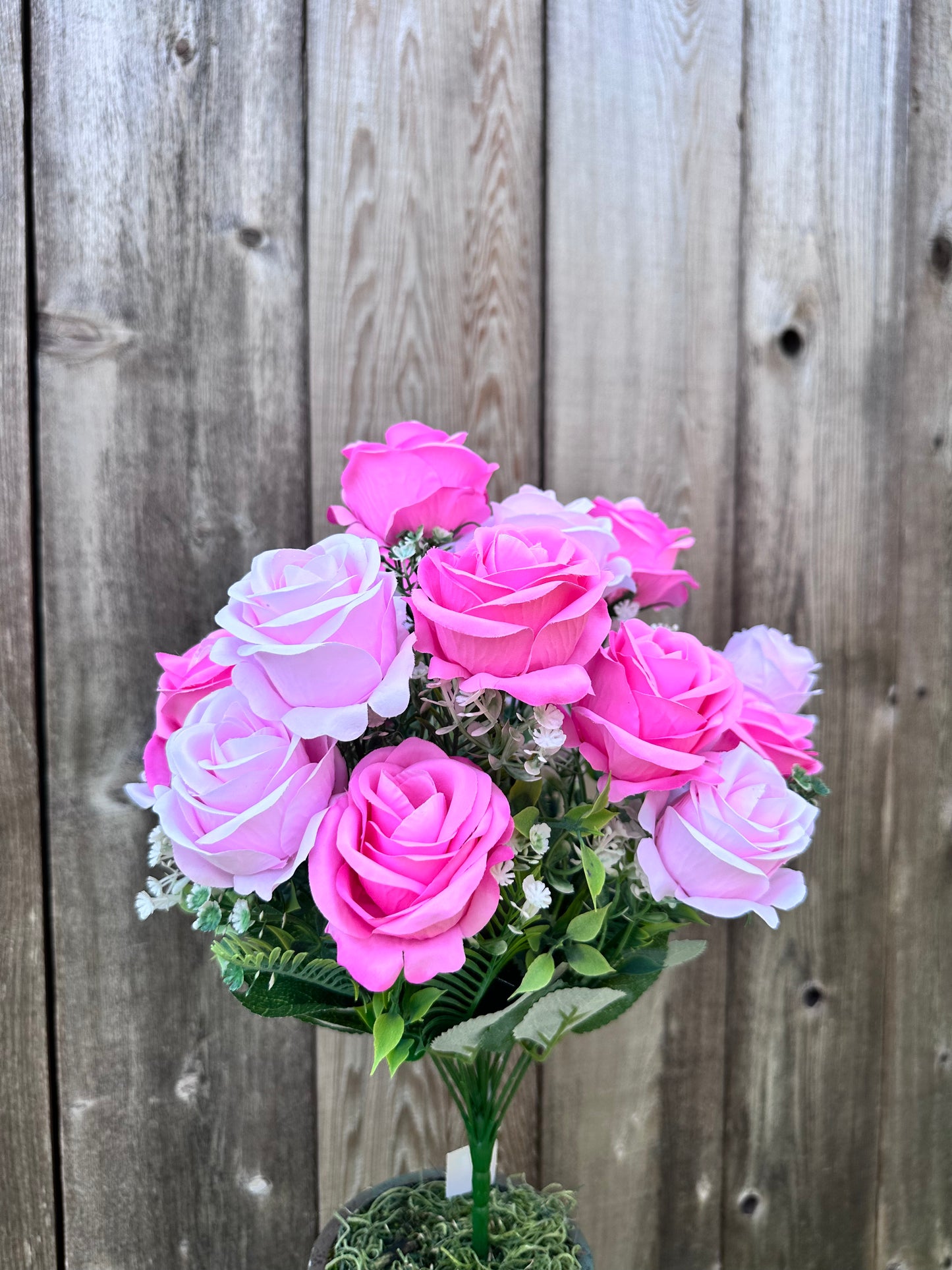 ROSE BUSH    84297-PK