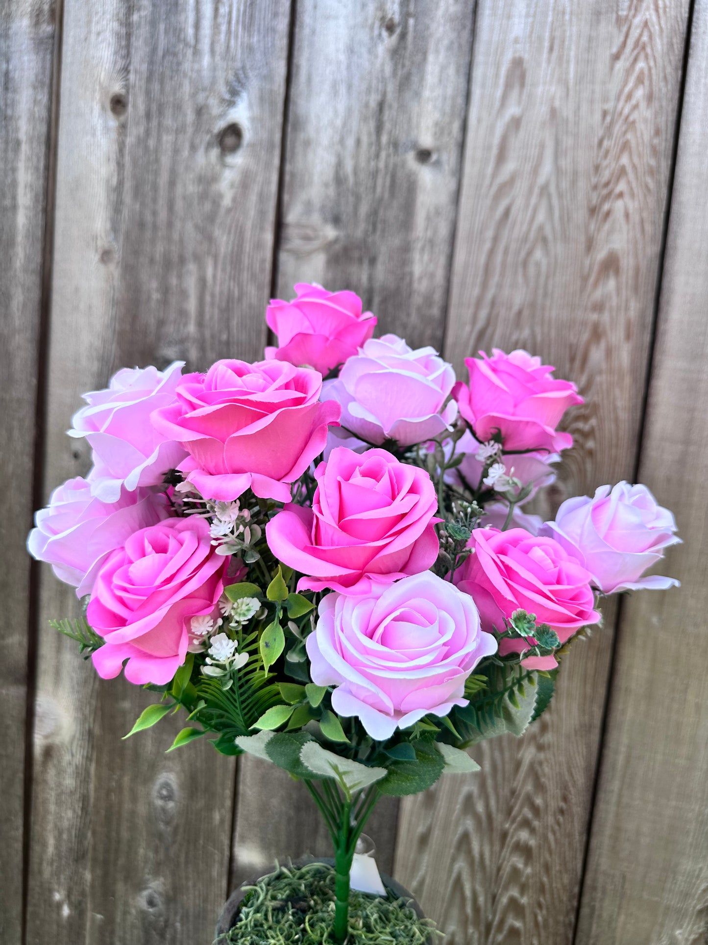 ROSE BUSH    84297-PK
