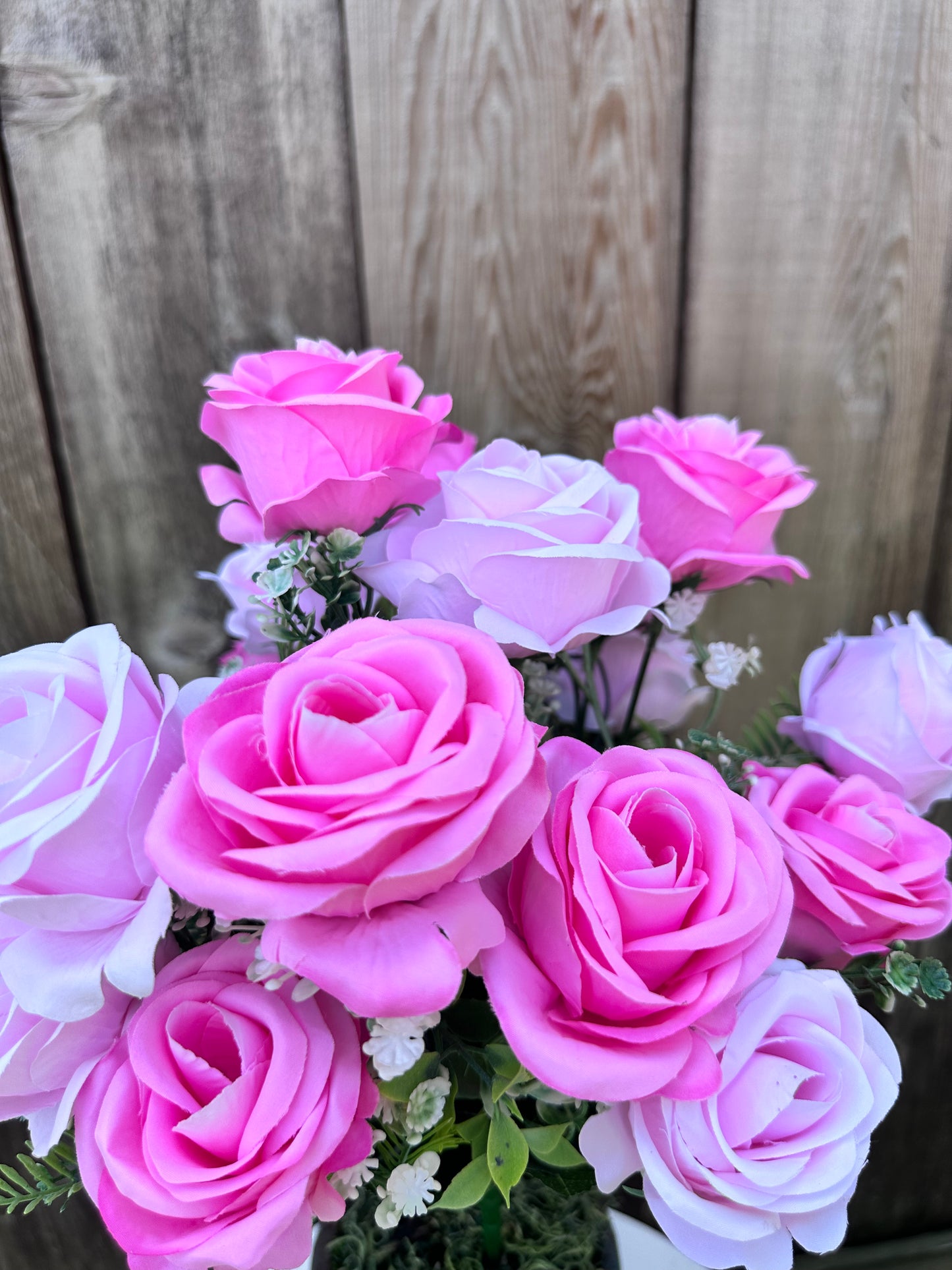 ROSE BUSH    84297-PK
