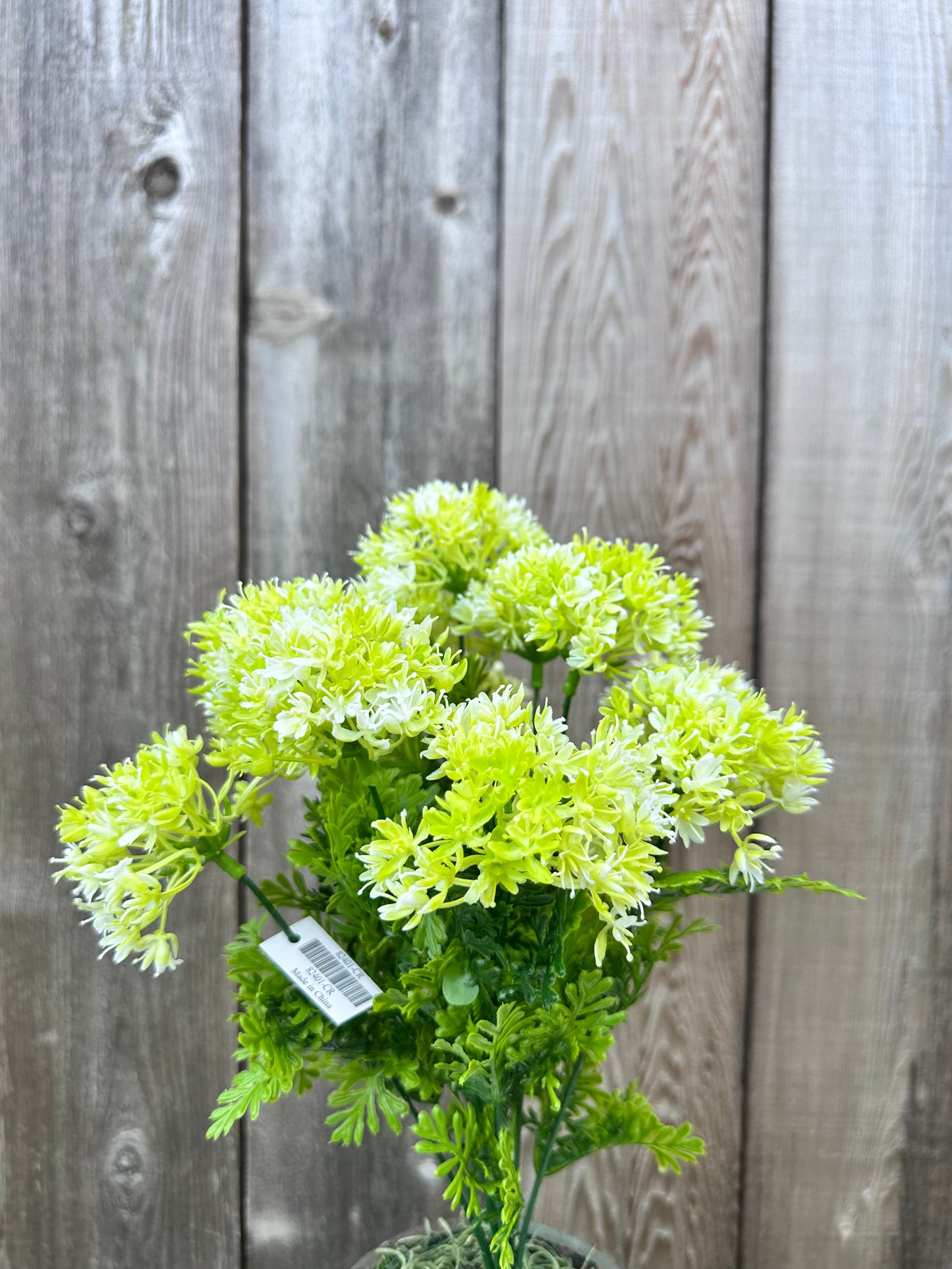 ALLIUM BUSH   82401-CR