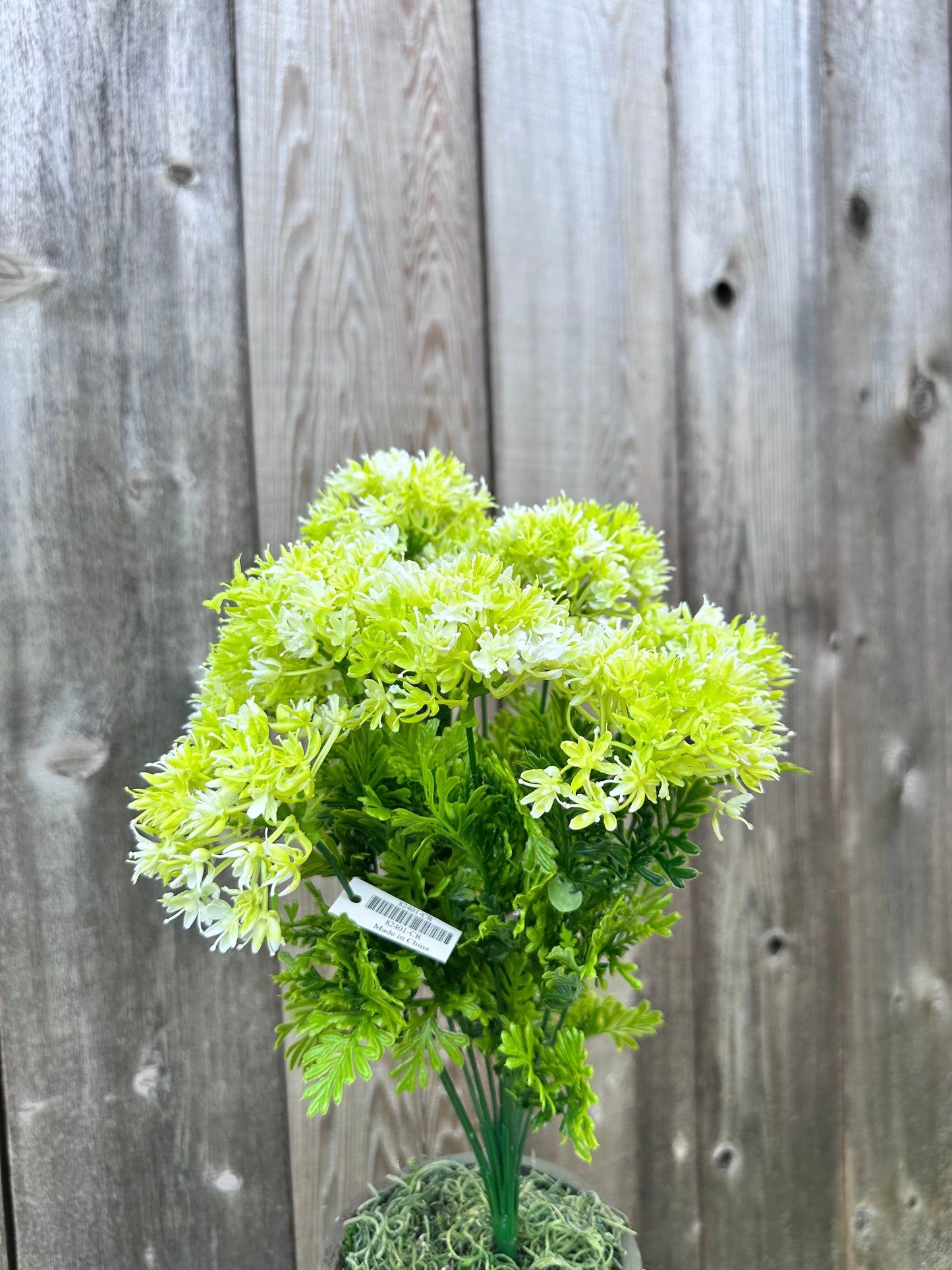 ALLIUM BUSH   82401-CR