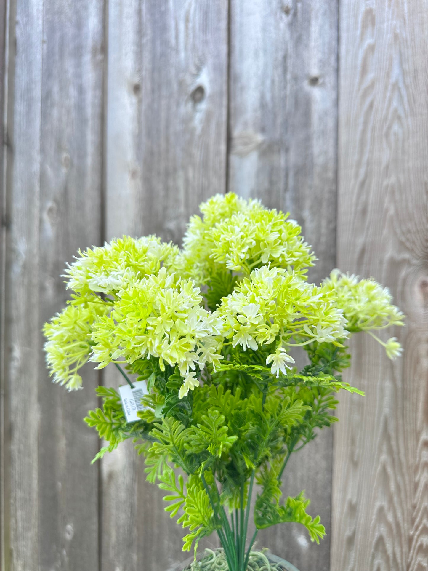 ALLIUM BUSH   82401-CR