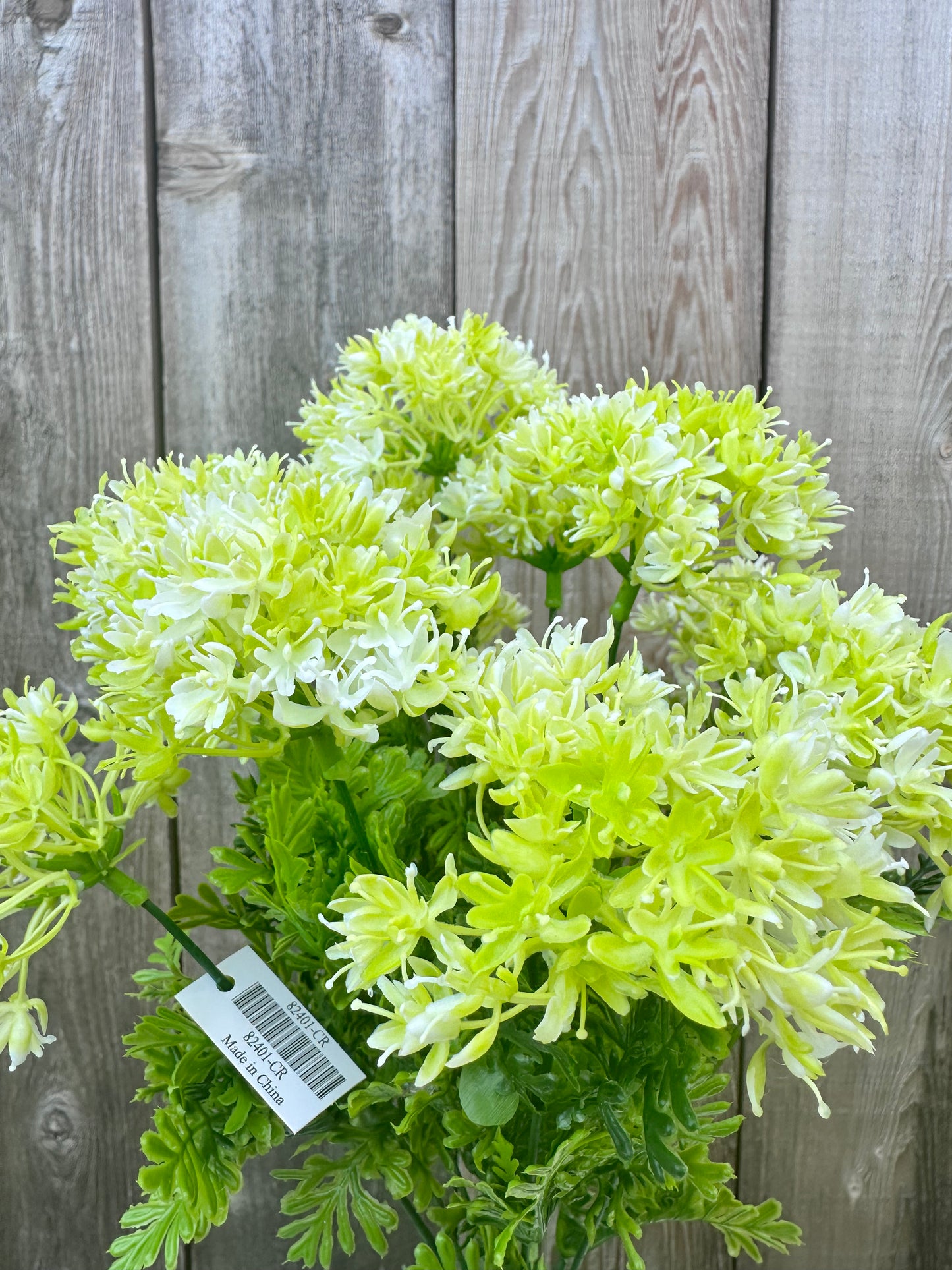 ALLIUM BUSH   82401-CR