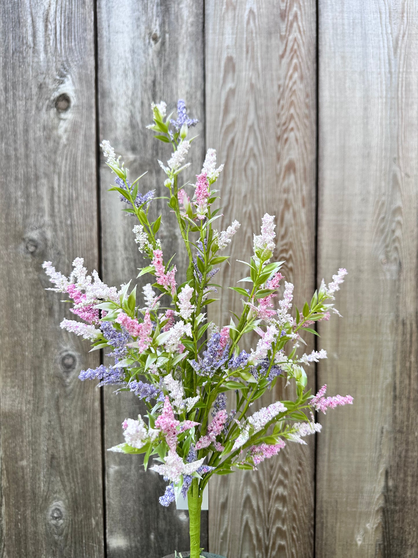 LAVENDER BUSH   63875