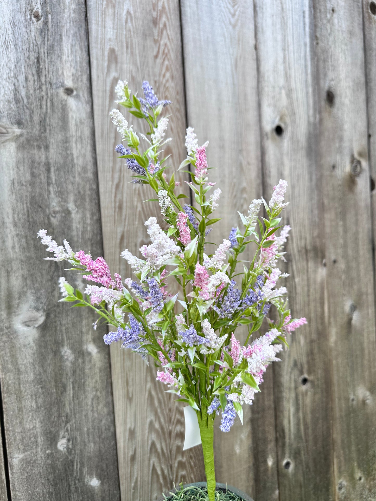 LAVENDER BUSH   63875