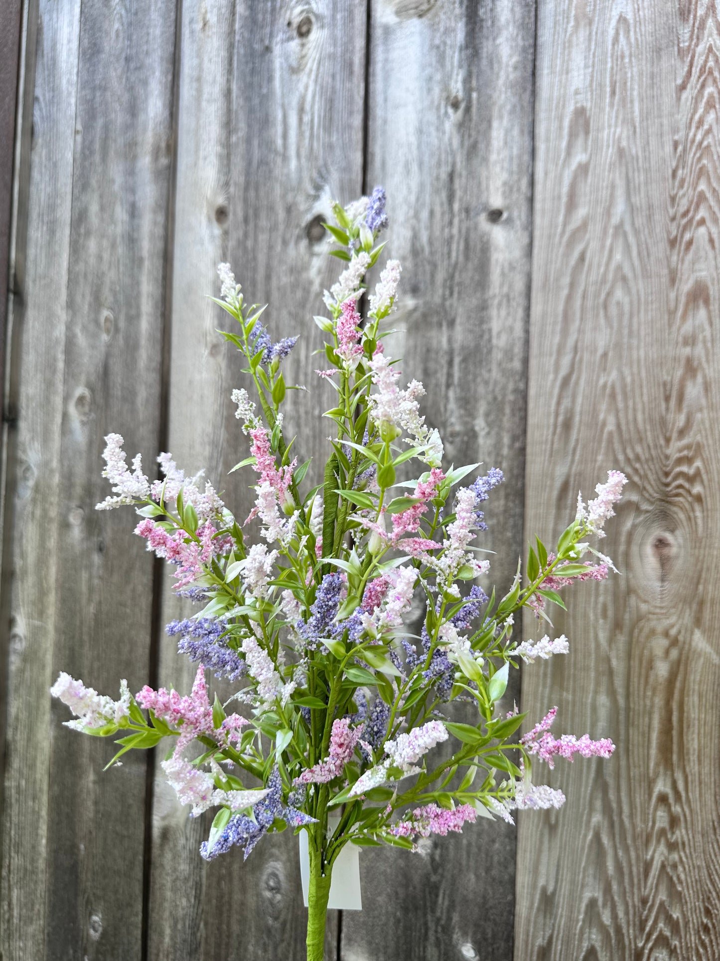 LAVENDER BUSH   63875