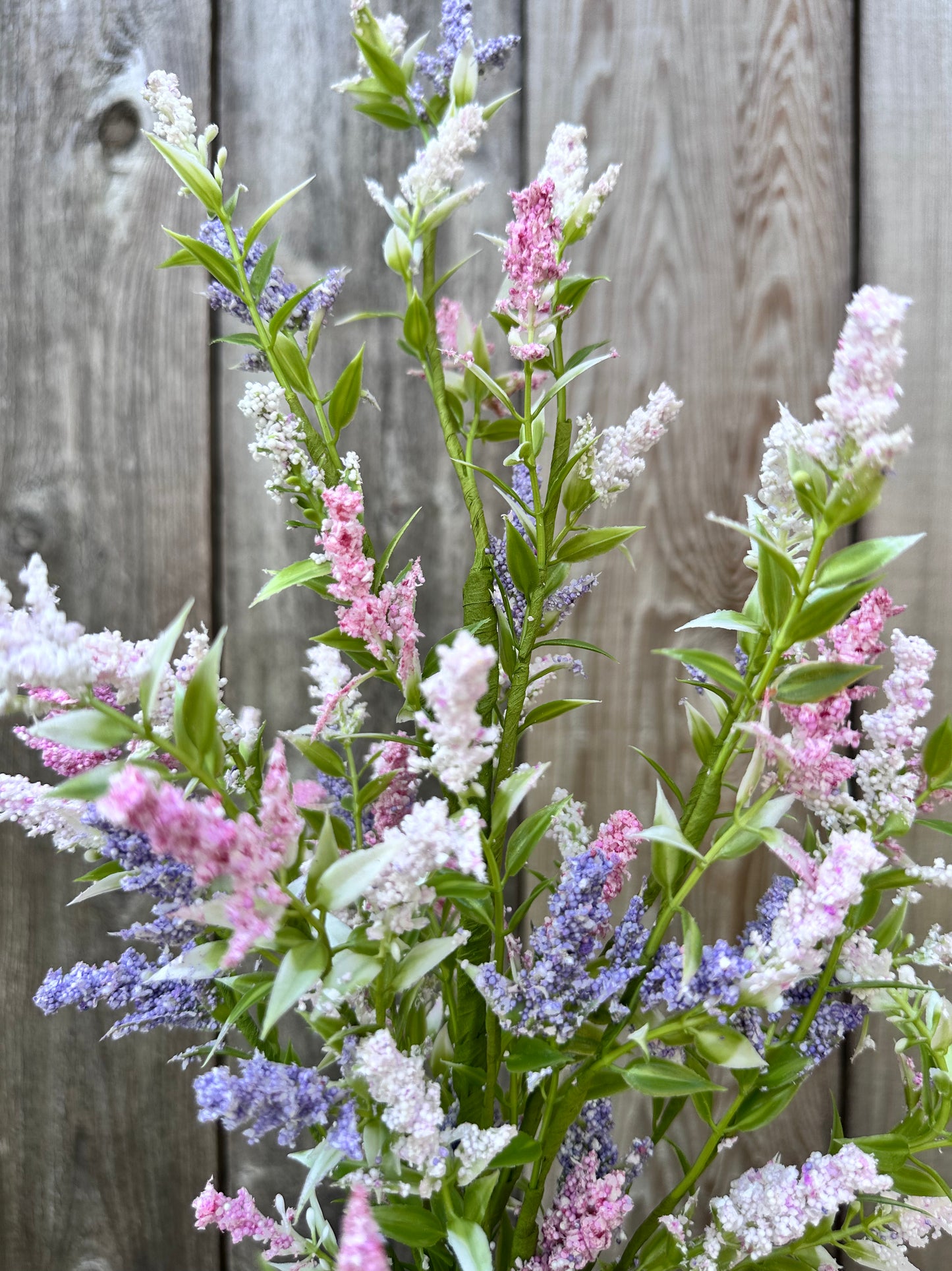 LAVENDER BUSH   63875