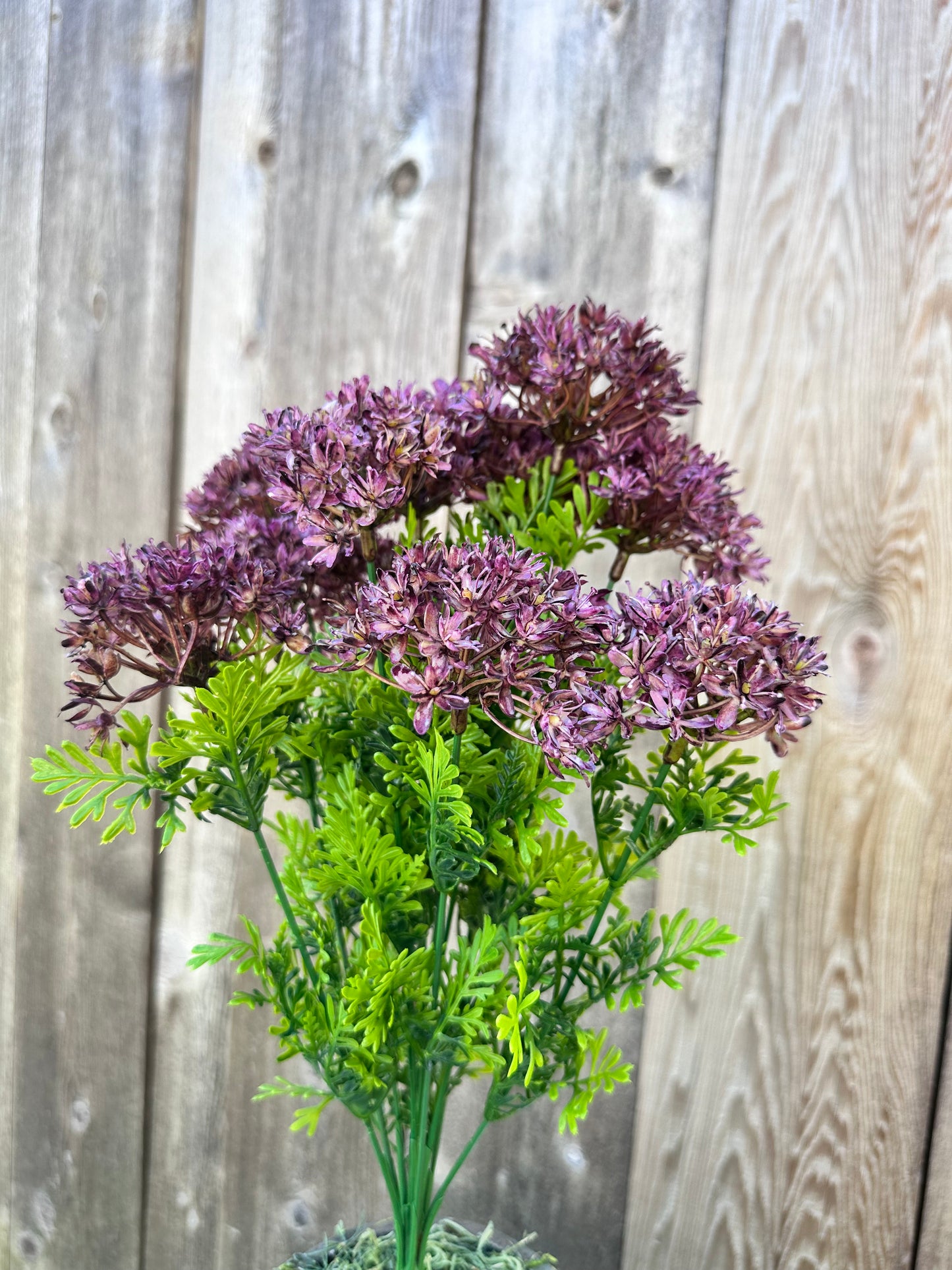 ALLIUM BUSH   82401-PU