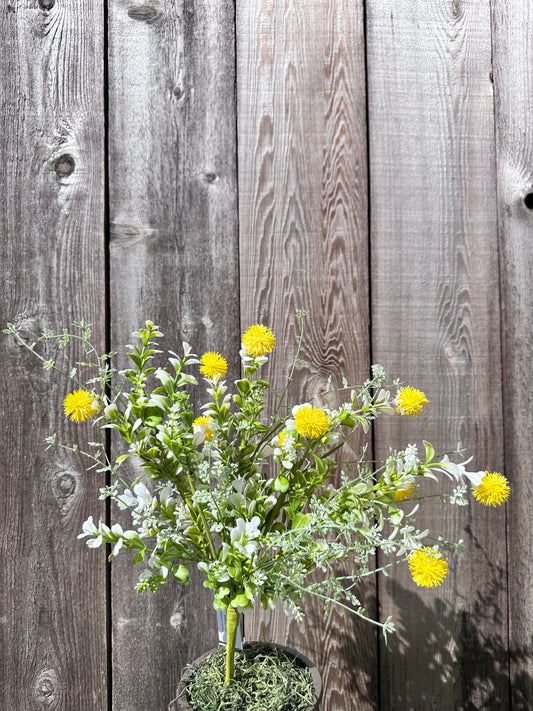 MIXED THISTLE BUSH     64839-YEL