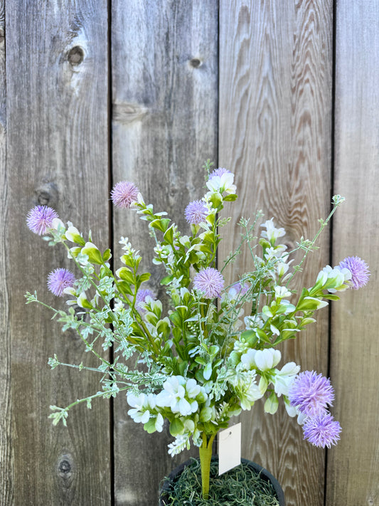 MIXED THISTLE BUSH      64839-LV
