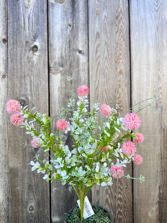 MIXED THISTLE BUSH     64839-PK