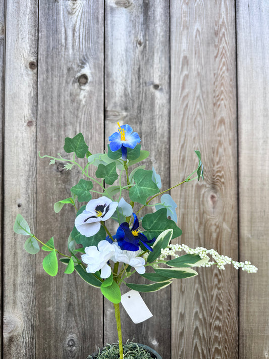 PANSY VIOLET PICK    63998