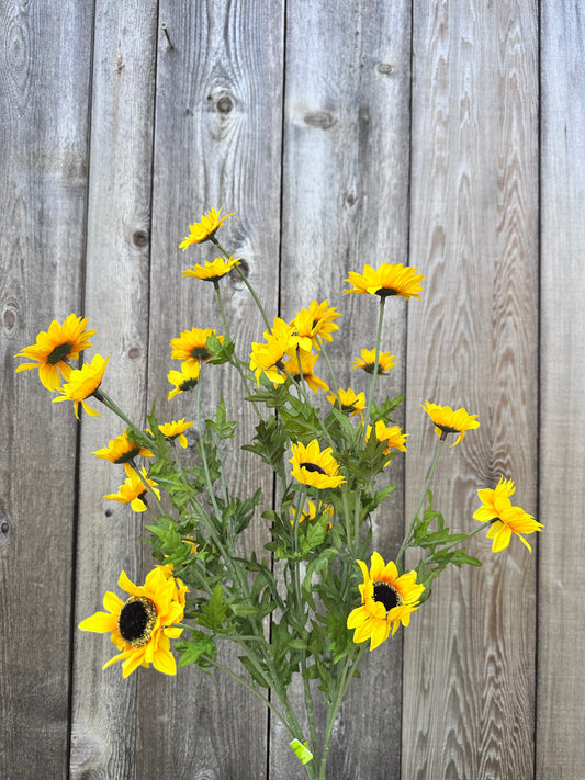 Sunflower Bush      30624YW