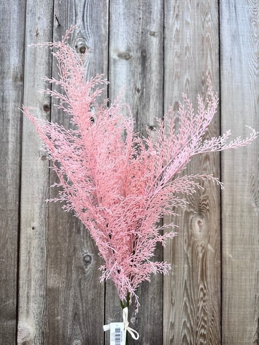 PHOENIX TAIL FERN  84099-PK