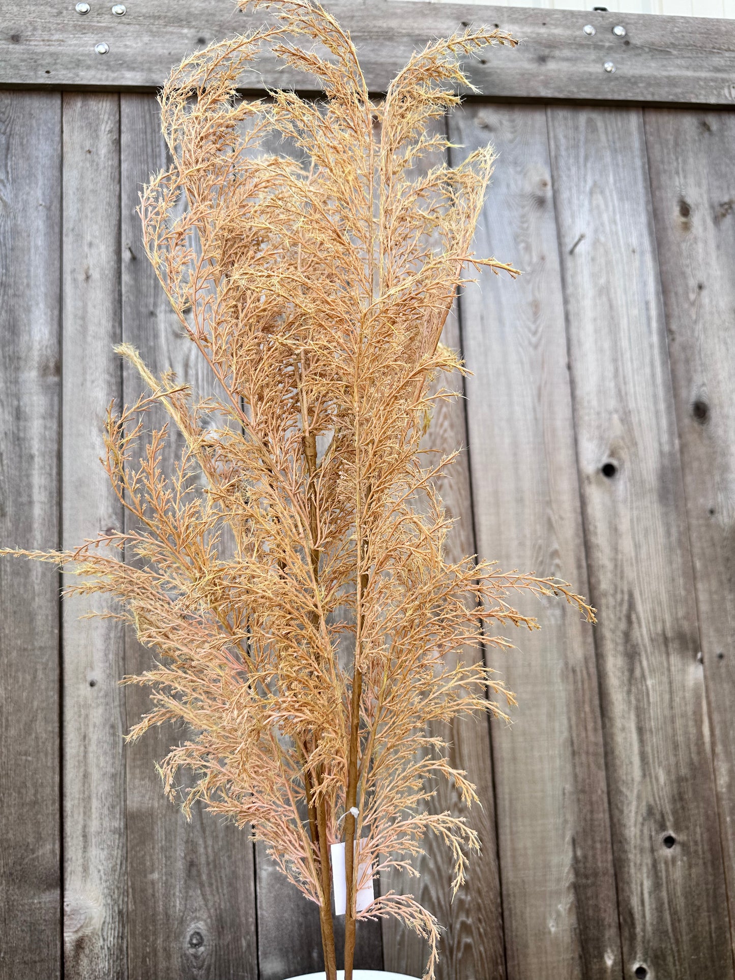 PHOENIX TAIL FERN   84846-LT.BRN