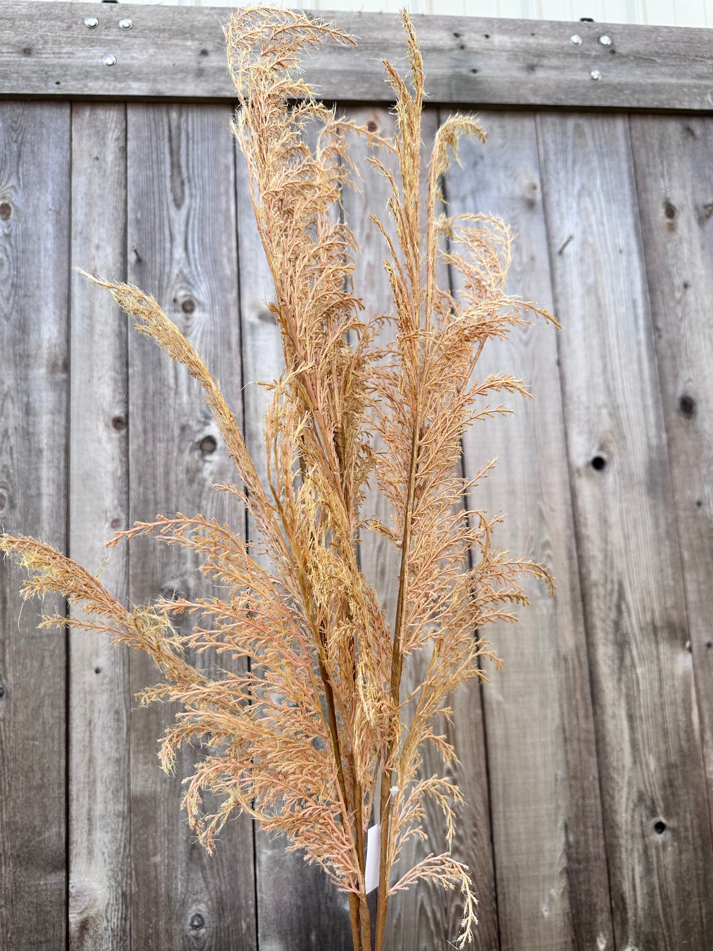 PHOENIX TAIL FERN   84846-LT.BRN