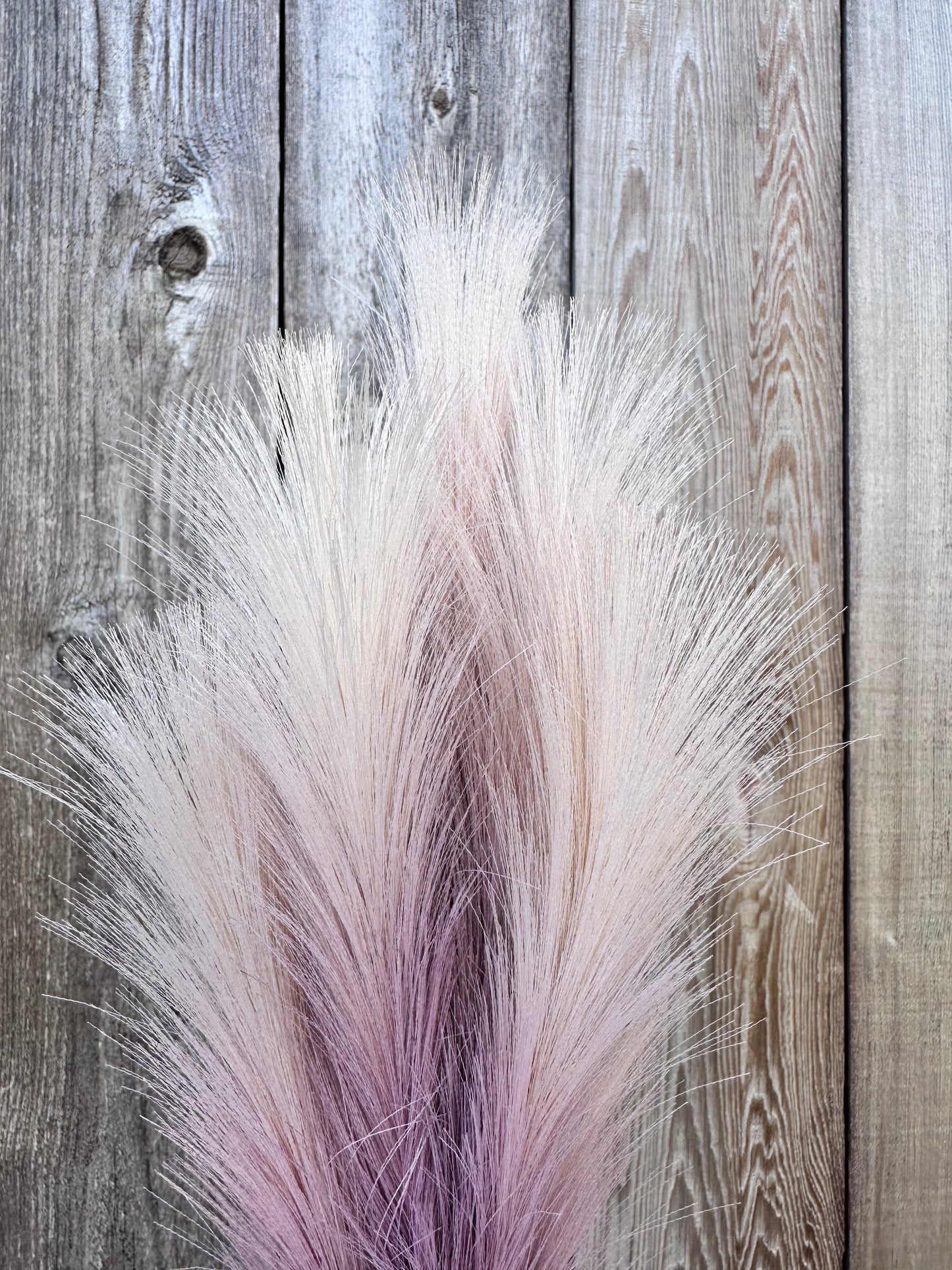 PAMPAS GRASS SPRAY   84850-PU