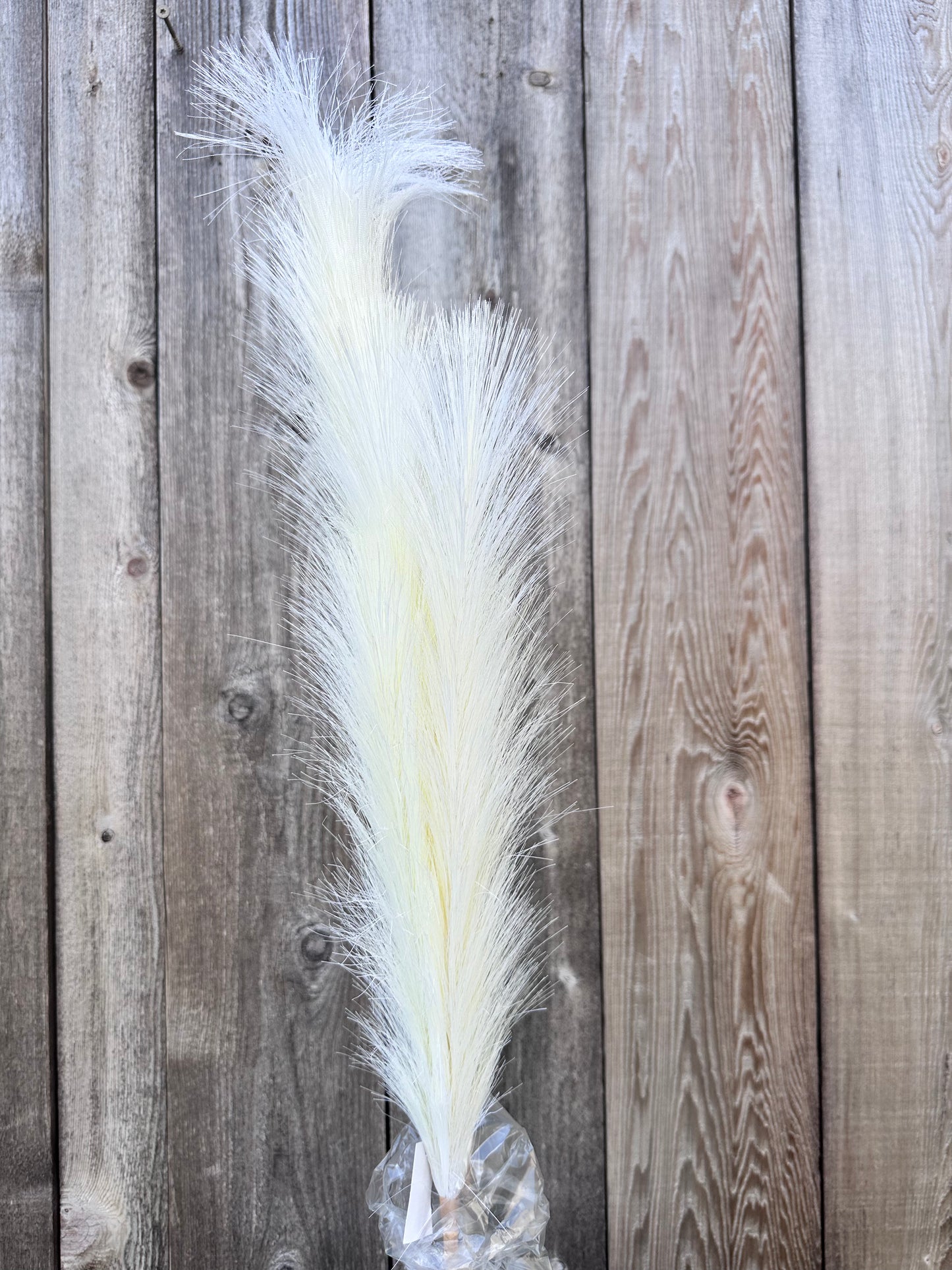 PAMPAS GRASS SPRAY 84851-CR