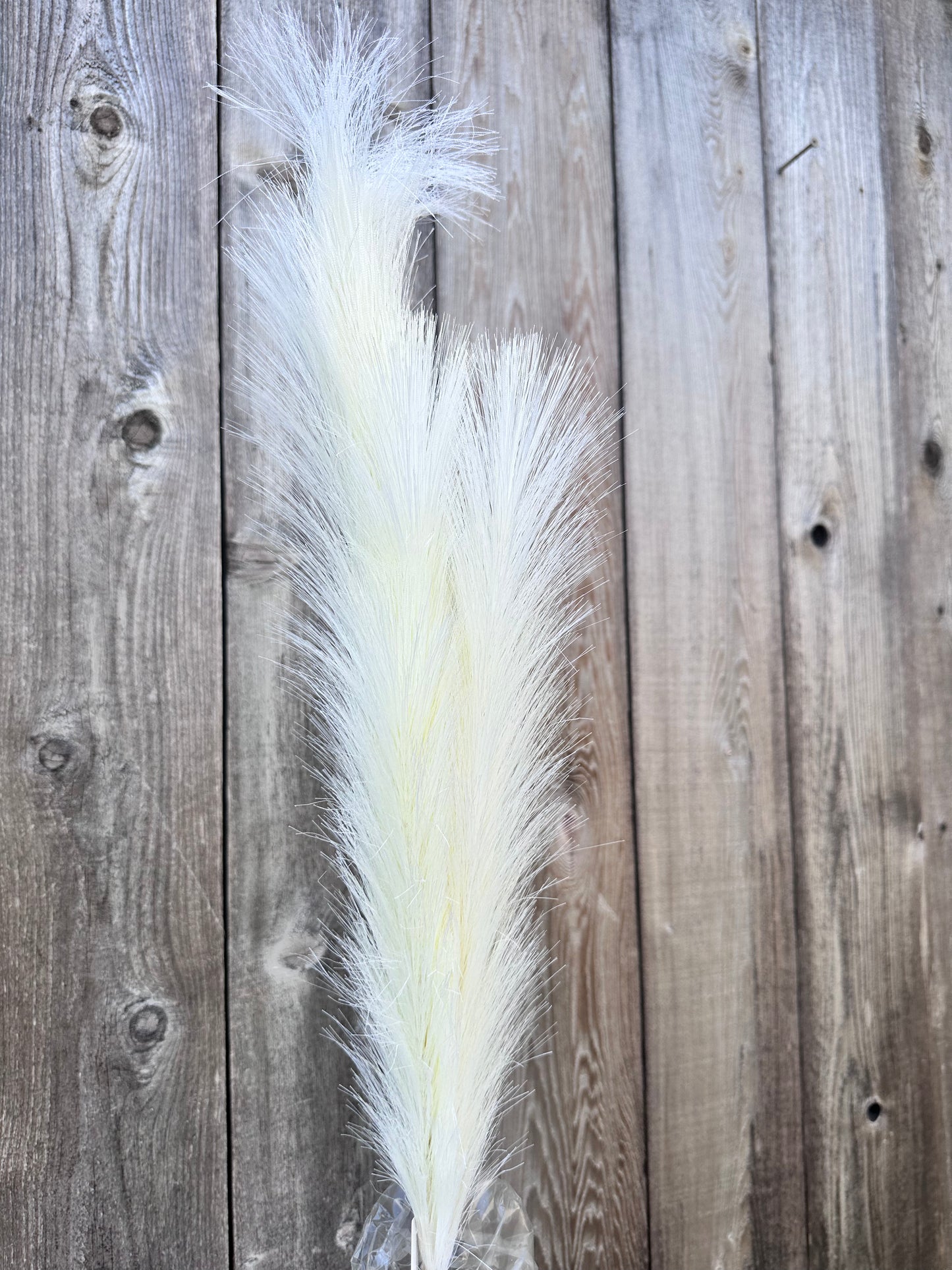 PAMPAS GRASS SPRAY 84851-CR