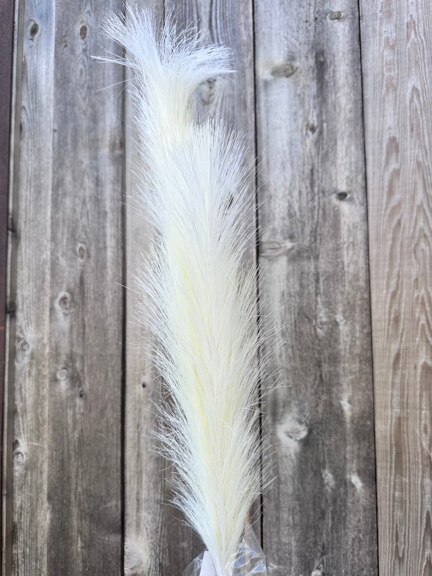 PAMPAS GRASS SPRAY 84851-CR