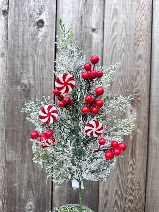 CEDAR W/ SNOW PINE SPRAY W/ RED BERRIES & PEPPERMINT CANDY  CS5015