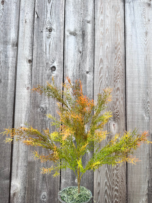 TALL SPRINGERRI PLASTIC   CS14732-ORANGE