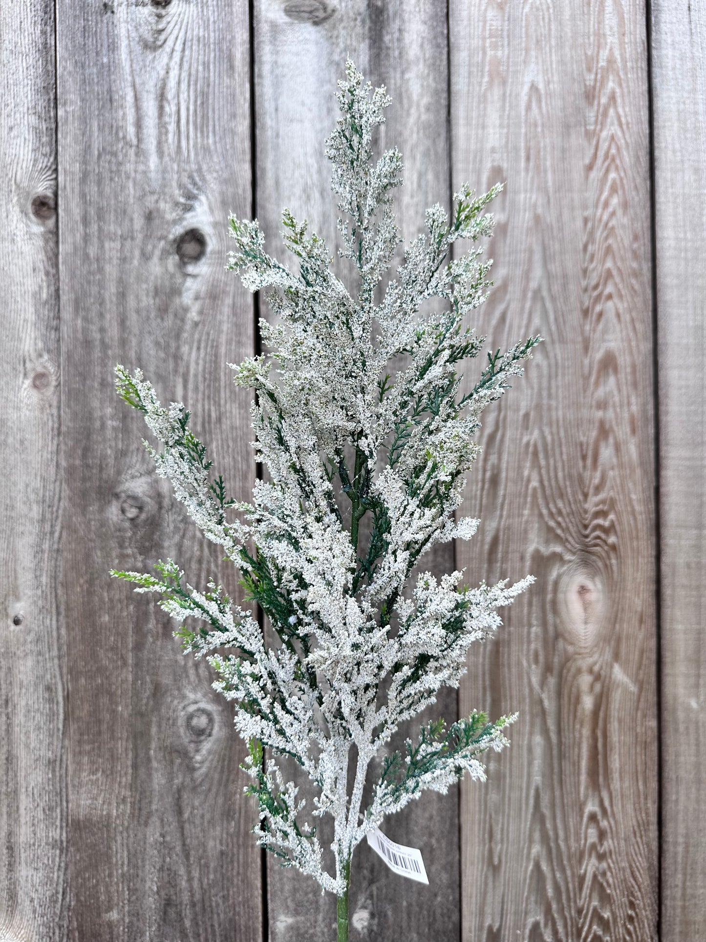 SNOW CEDAR PINE SPRAY  CS5016
