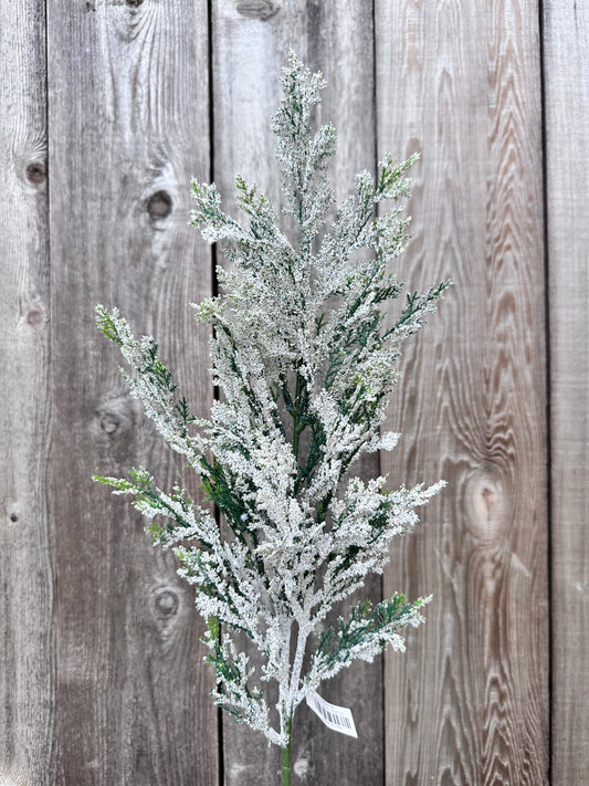 SNOW CEDAR PINE SPRAY  CS5016
