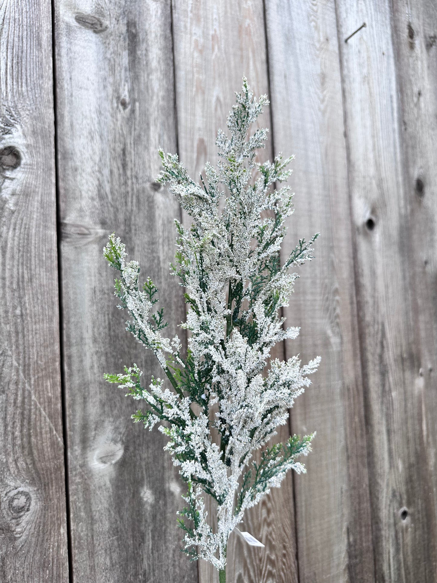 SNOW CEDAR PINE SPRAY  CS5016