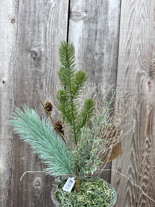 PINE MAGNOLIA LEAF PIK   V5763