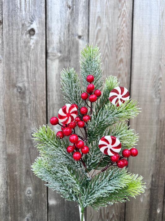 BERRY PINE SPRAY-FROSTED   CS5018