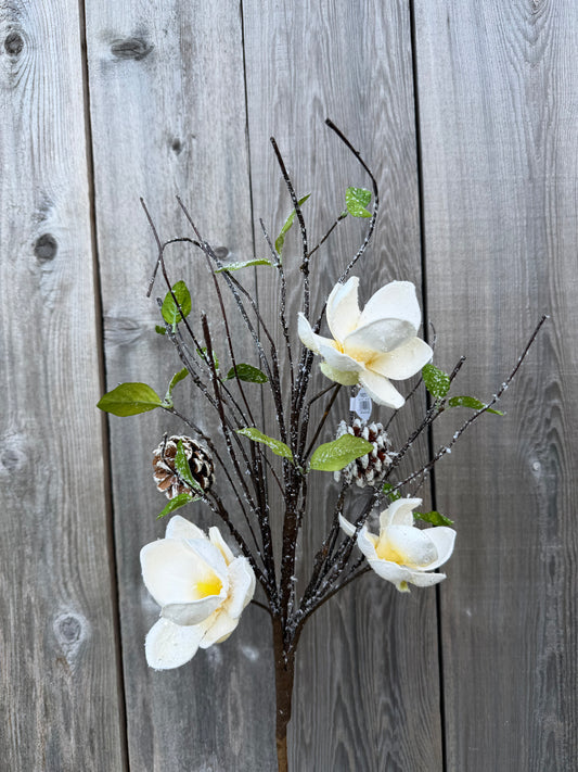 Magnolia Cne Spray   42165