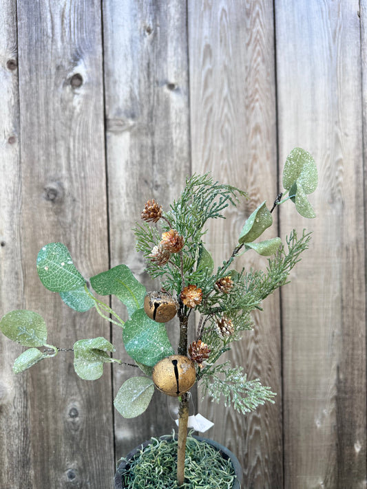 GOLD SONG EUCALYPTUS PICK   XM91308