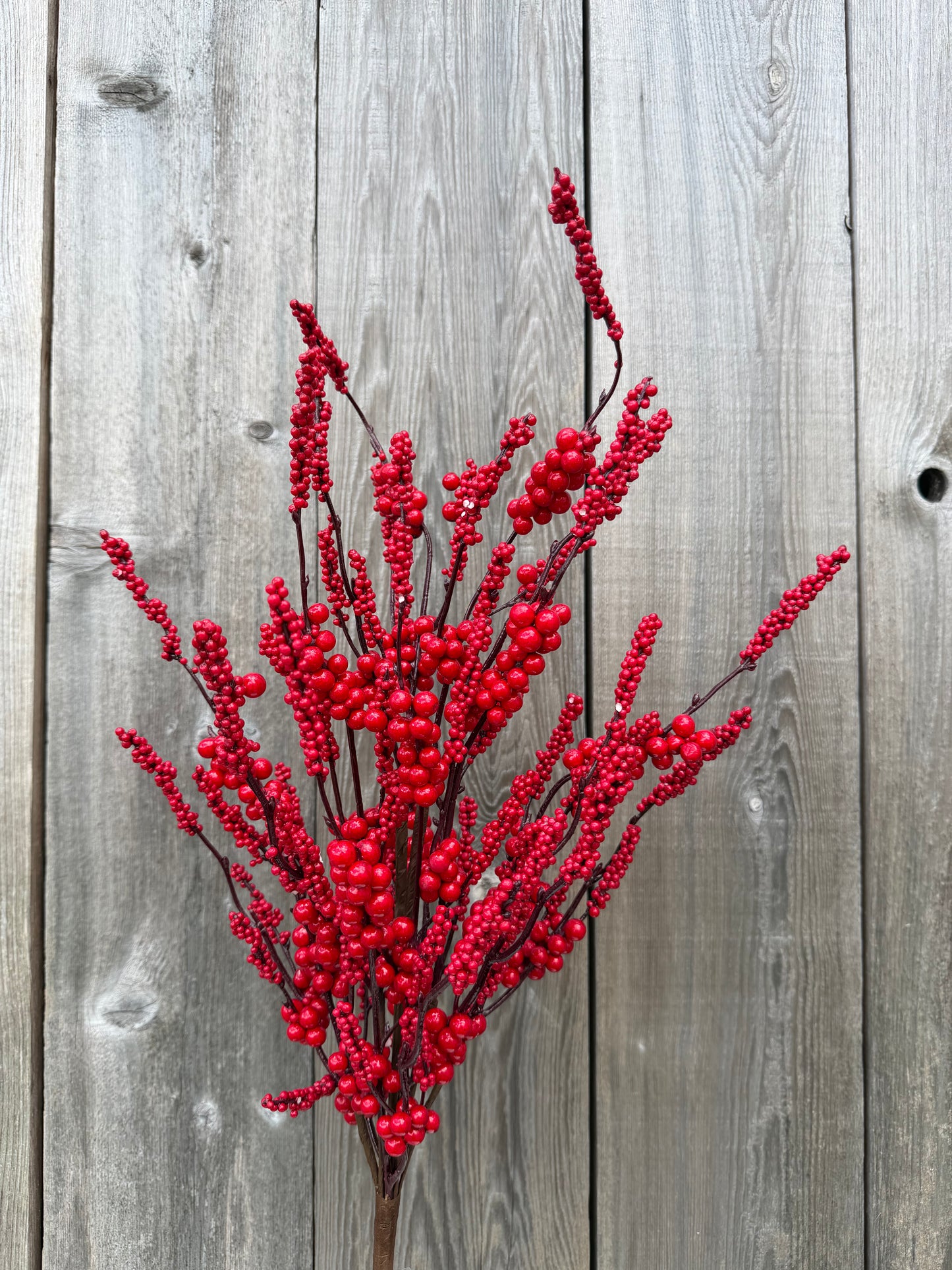 Red Berry Clstr Bush    41644