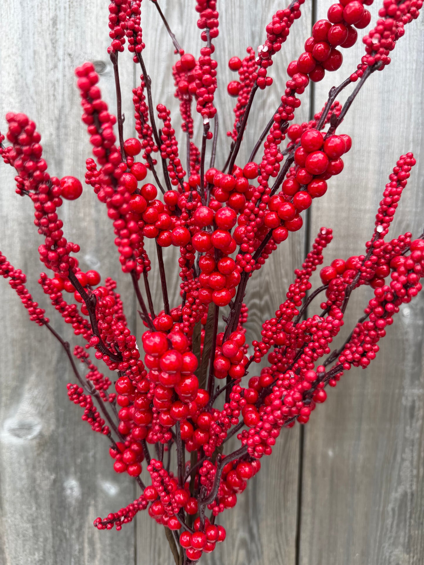 Red Berry Clstr Bush    41644