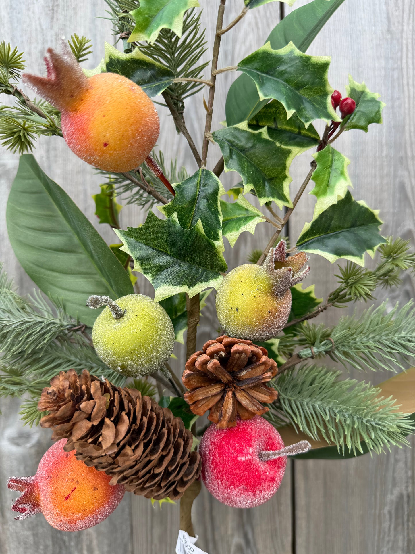 Fruit/Cne/Fol Spray     42186