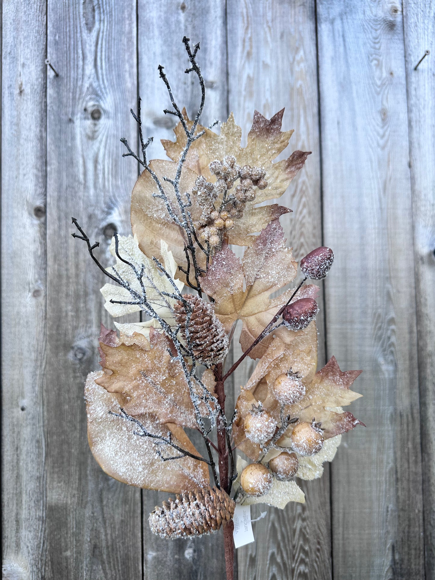 FALL'S FAREWELL SPRAY   XLA4516