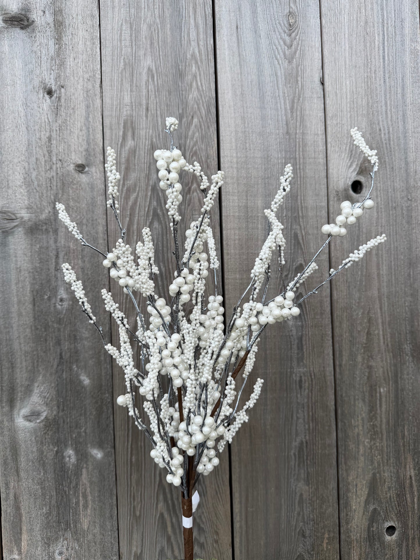 Pearl Berry Clstr Bush   42314