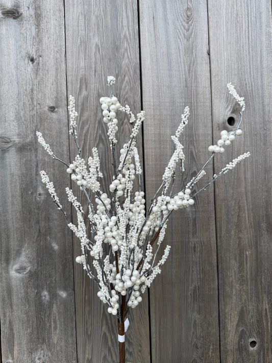 Pearl Berry Clstr Bush   42314