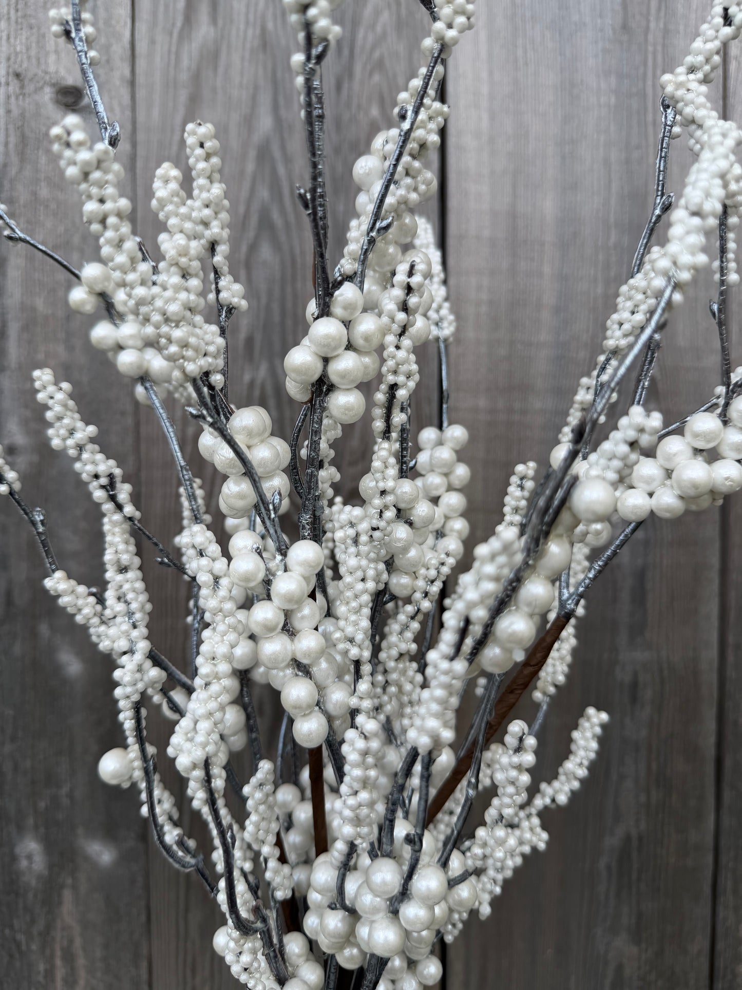 Pearl Berry Clstr Bush   42314