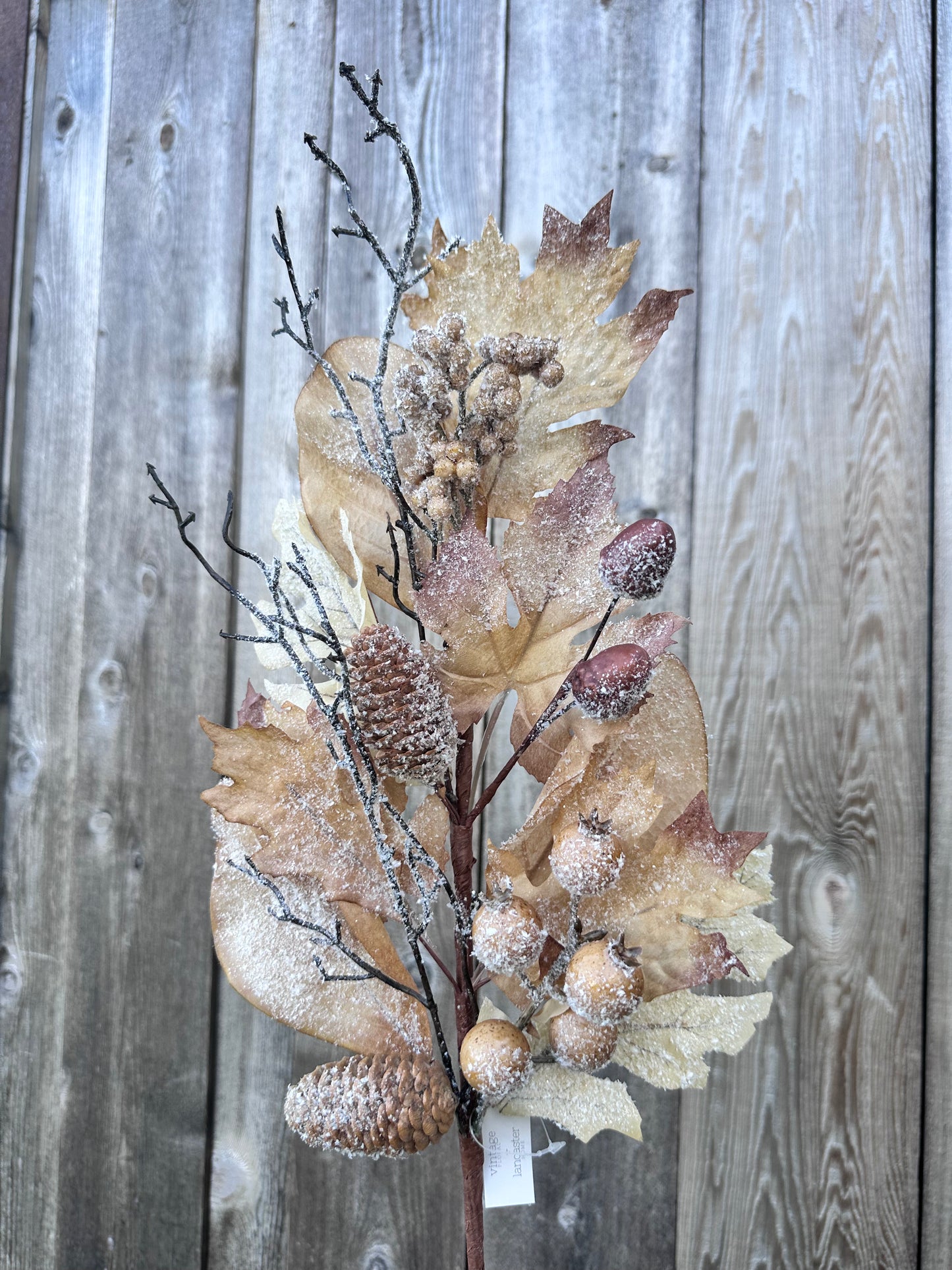 FALL'S FAREWELL SPRAY   XLA4516